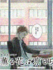 免费观看在线高清电视剧 妻子的浪漫旅行